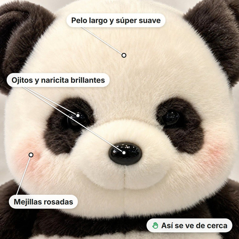 De cerca: pelo largo y súper suave, ojitos y naricita brillantes, mejillas rosadas