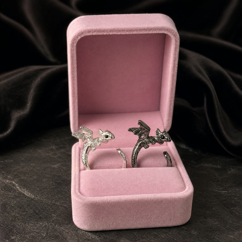 Los dos anillos, Chimuelo y Furia, en su caja de regalo