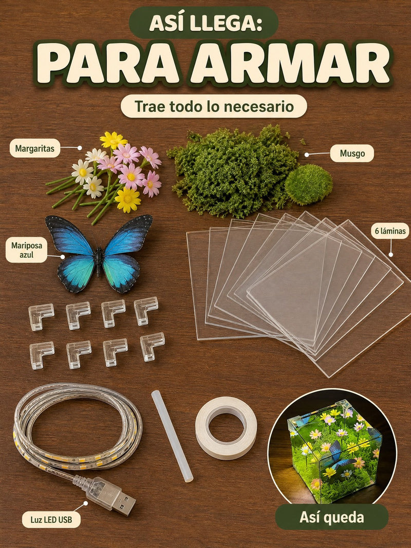 Así llega: todas las piezas sueltas para armar (musgo, margaritas, mariposa azul, láminas, esquineros y luz USB) y cómo queda