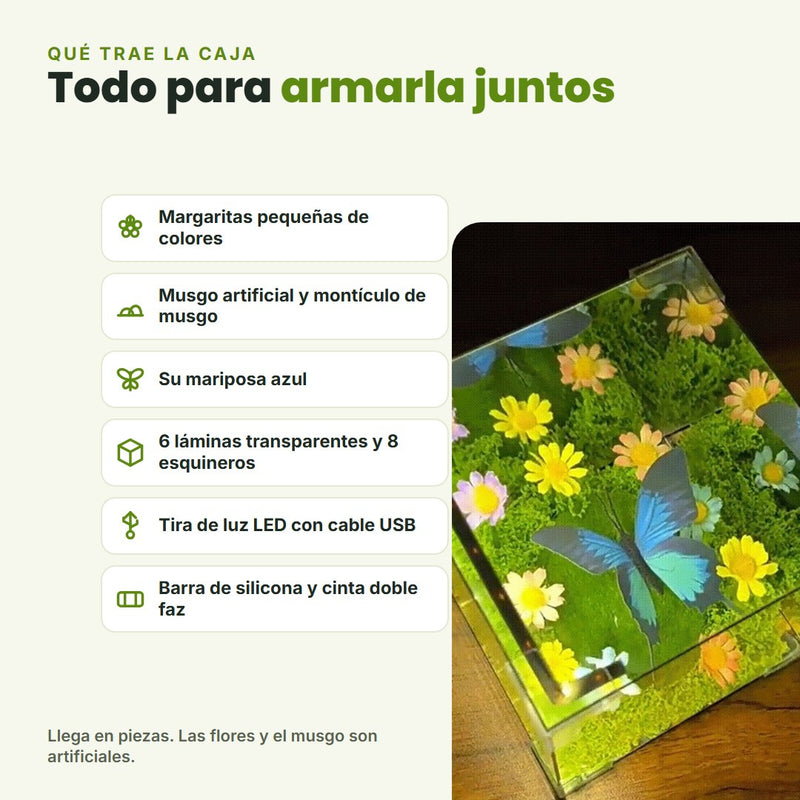 Qué trae el kit: margaritas de colores, musgo artificial, mariposa azul, 6 láminas transparentes con 8 esquineros, tira de luz LED con cable USB, barra de silicona y cinta doble faz