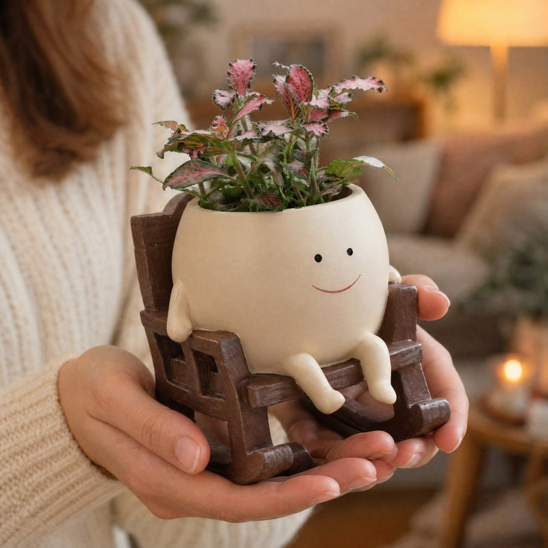 Unas manos sostienen la maceta como un regalo