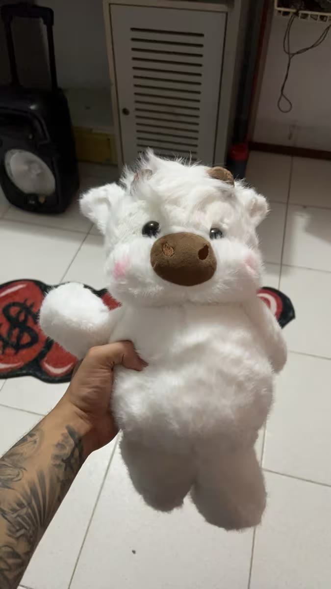 Foto de Kevin Dallos